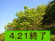 ezfi悤j
