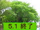 egfi߂悵́j