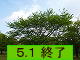egfi߂悵́j