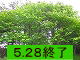 II}UN@ʖFG]}UN