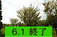 e֎Rfi񂴂j