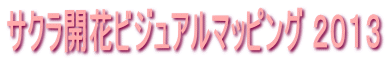 TNJԃrWA}bsO QOPR