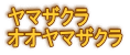 ヤマザクラ オオヤマザクラ