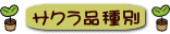 サクラ品種別