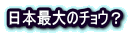 {ő̃`EH 
