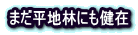 ܂nтɂ 