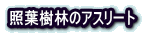 Ɨtт̃AX[g 