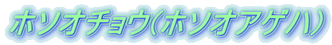 z\I`E(z\IAQn) 