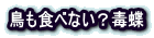 HׂȂHŒ 