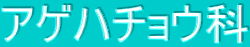 AQn`E 