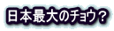 {ő̃`EH 
