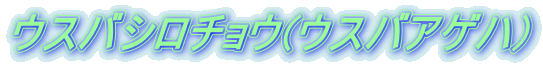 EXoV`E(EXoAQn) 