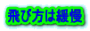 飛び方は緩慢 