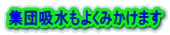 集団吸水もよくみかけます 