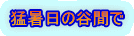 猛暑日の谷間で
