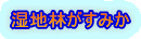 湿地林がすみか