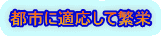 都市に適応して繁栄