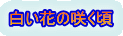 白い花の咲く頃 