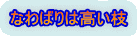 なわばりは高い枝 
