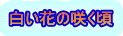 白い花の咲く頃