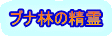 ブナ林の精霊
