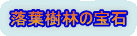 落葉樹林の宝石 