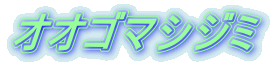 オオゴマシジミ 