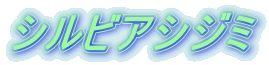 シルビアシジミ 
