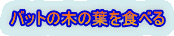 バットの木の葉を食べる 