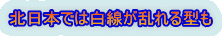 北日本では白線が乱れる型も 