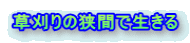 草刈りの狭間で生きる 