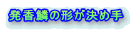 発香鱗の形が決め手 