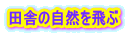 cɂ̎R 