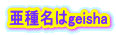 햼geisha