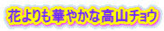 花よりも華やかな高山チョウ 