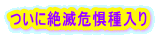 ɐŊ뜜 
