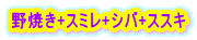 野焼き+スミレ+シバ+ススキ 