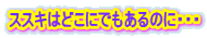 ススキはどこにでもあるのに・・・ 