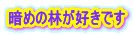 暗めの林が好きです 