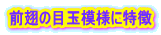 前翅の目玉模様に特徴 