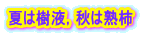 夏は樹液，秋は熟柿