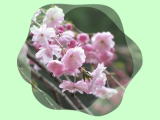 eJ}fi傤jQQNSXBe