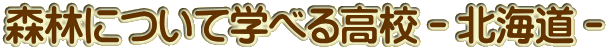 XтɂĊwׂ鍂Z|kC|