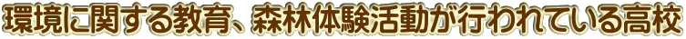 Ɋւ鋳AXё̌sĂ鍂Z